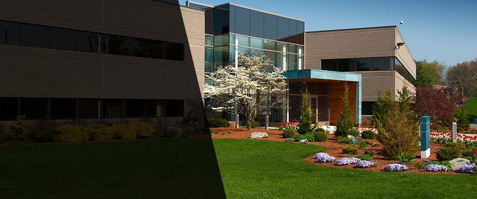 Mount Pleasant Mills Landscapers