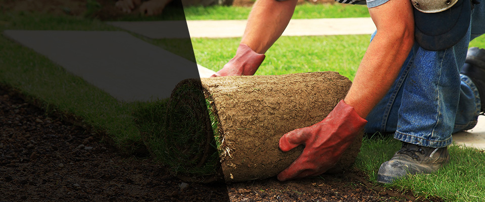 Mount Pleasant Mills Landscapers